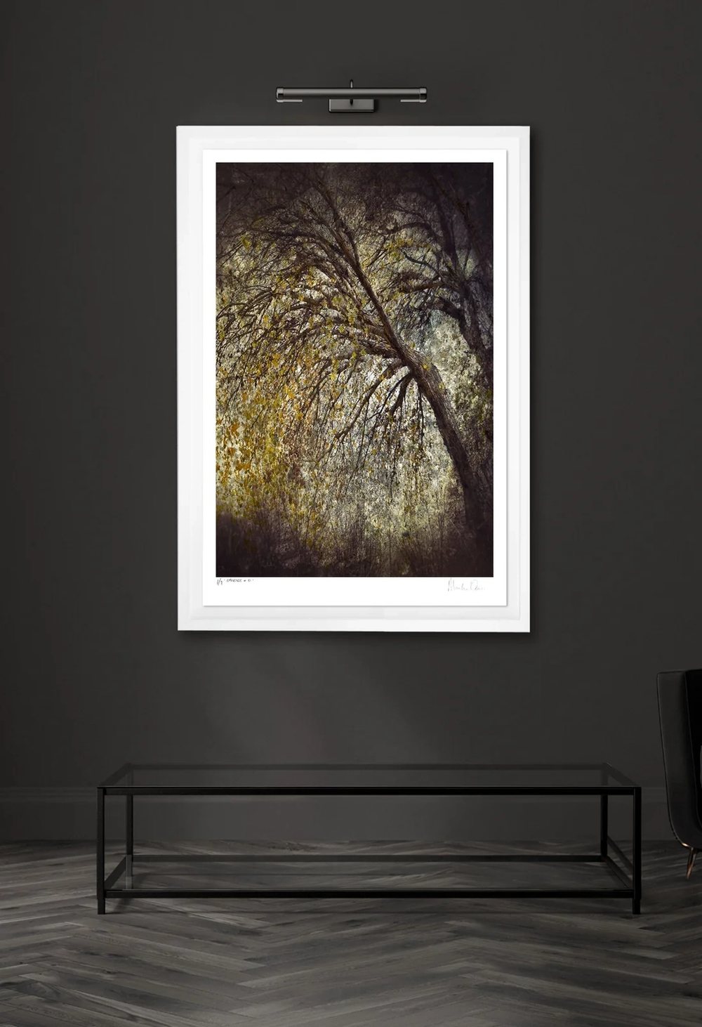 A framed tree study hung in a gallery space