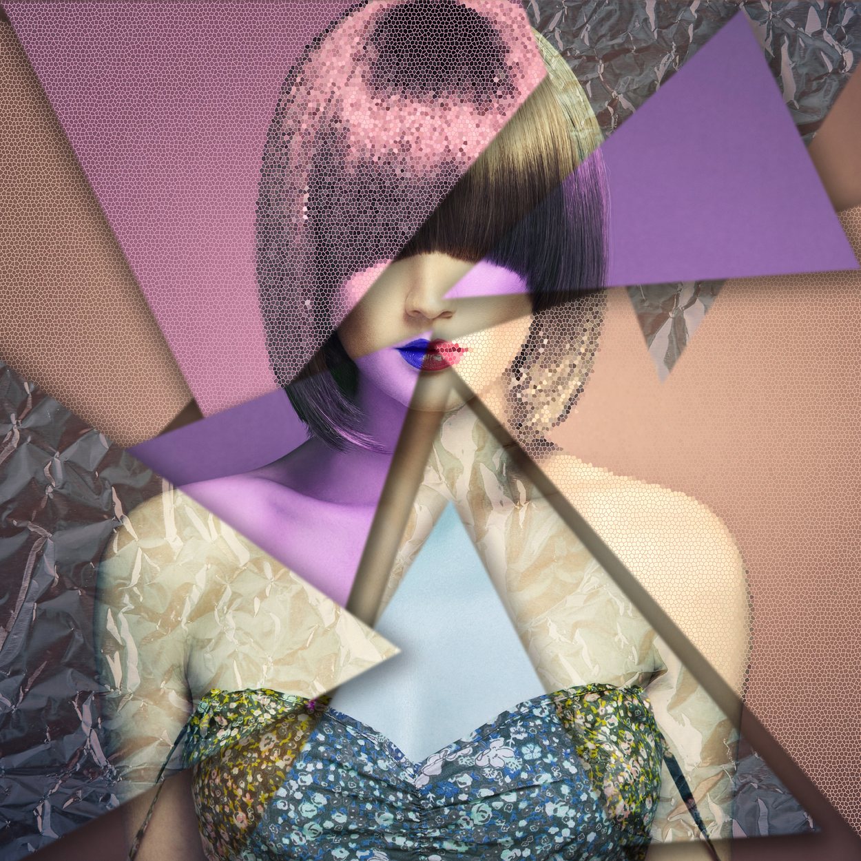 Fragmented Beauty, by Samantha Lee Osner