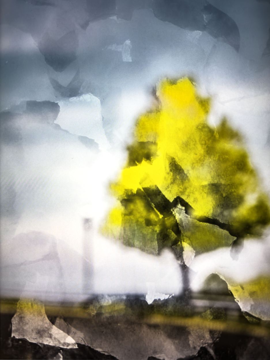 Yellow Tree, a work by David Schlosser