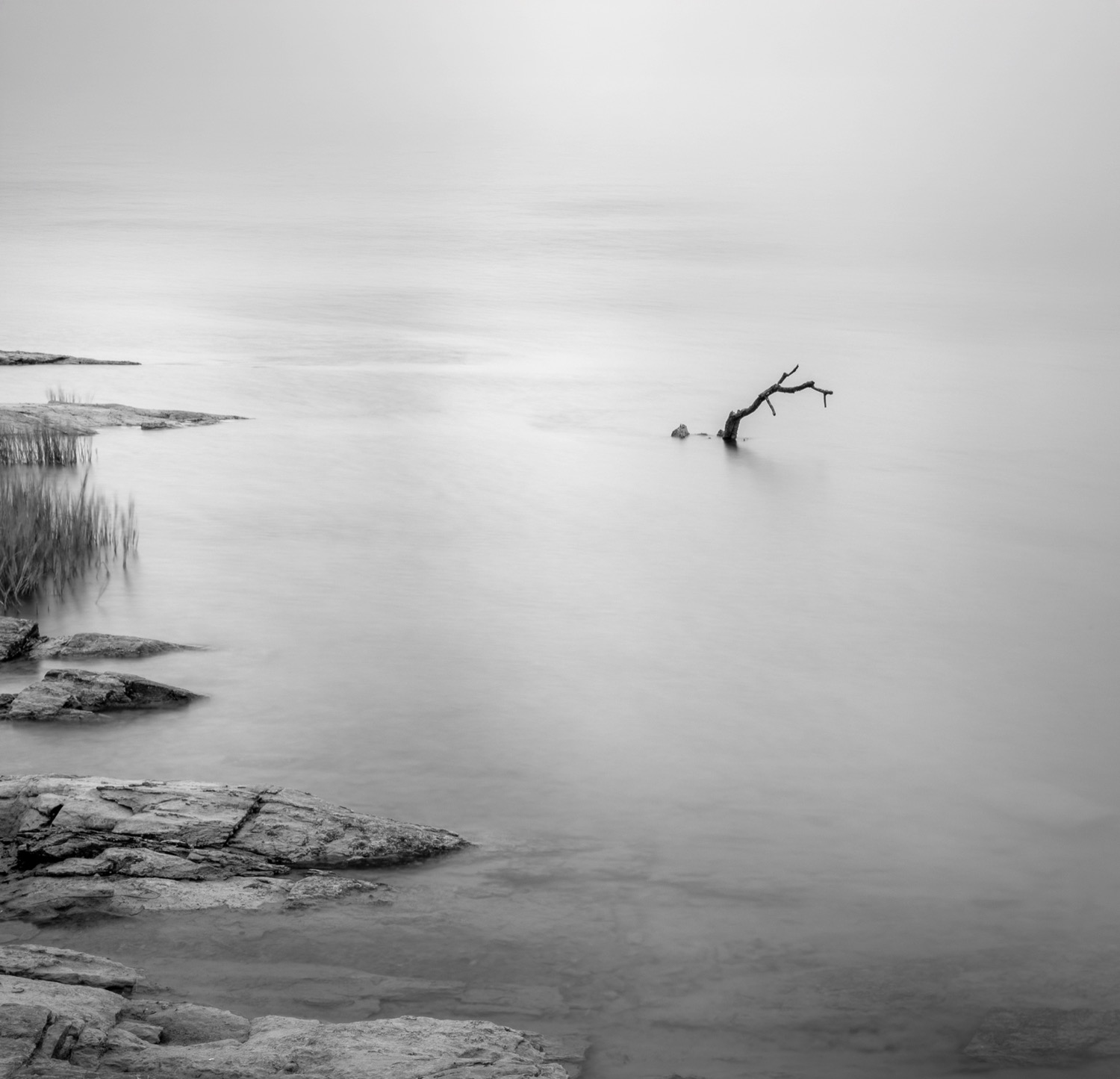 High key minimal seascape with a bare branch standing in still shallow water