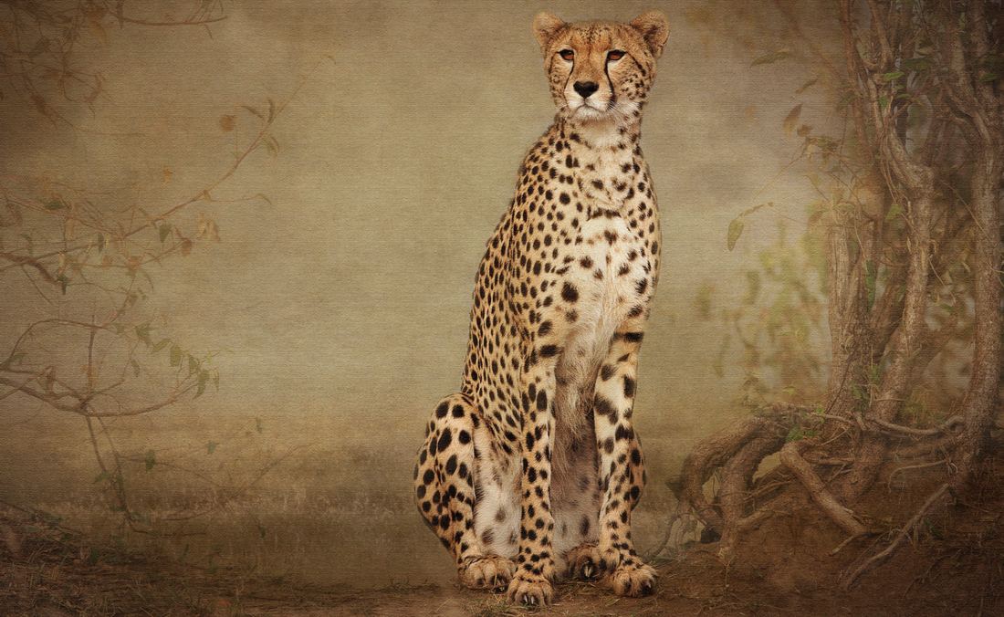 The same photograph by Debra Jamroz after hand worked art photography techniques