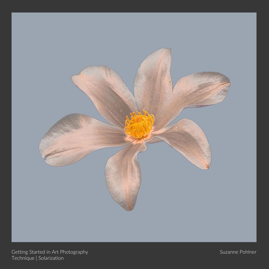 A photographic artwork by Suzanne Pohlner, made on the Getting Started in Art Photography course using the Solarisation technique