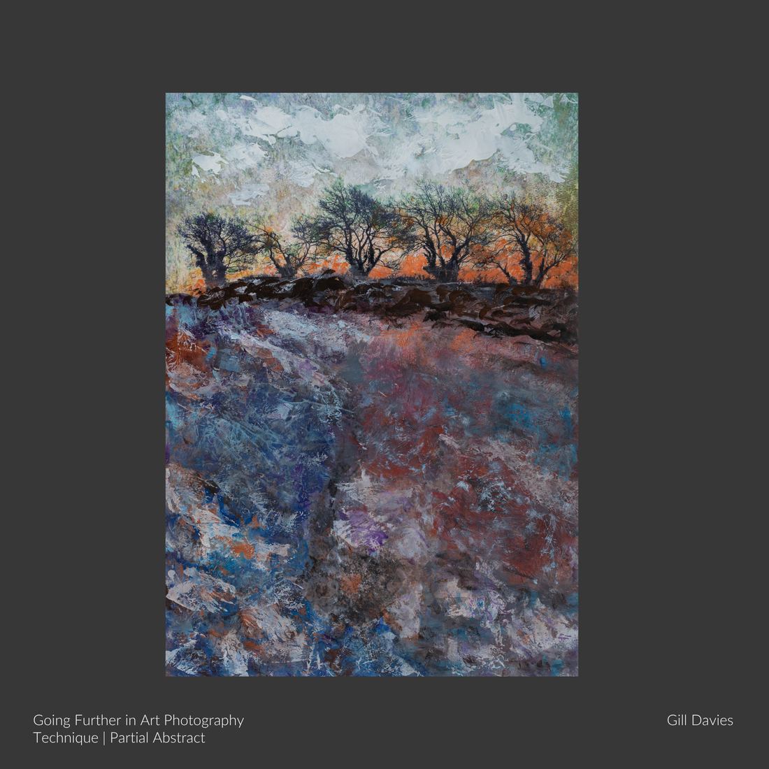 A photographic artwork by Gill Davies, made on the Going Further in Art Photography course using the Partial Abstract technique