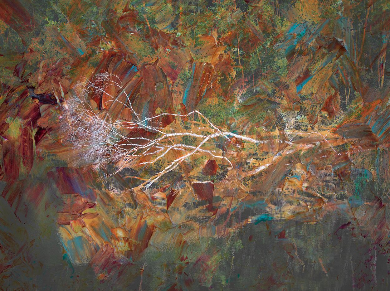 Forest Memories, a work by Ann Baret