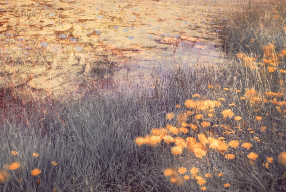 Swellendam Art Photography Retreat