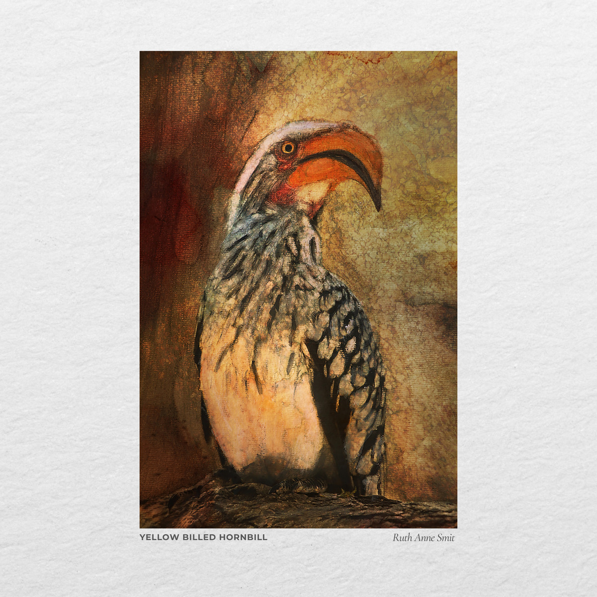 A yellow billed hornbill against warm rust texture