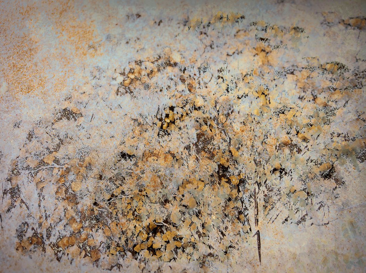 Mineral Bloom, a work by Ann Baret