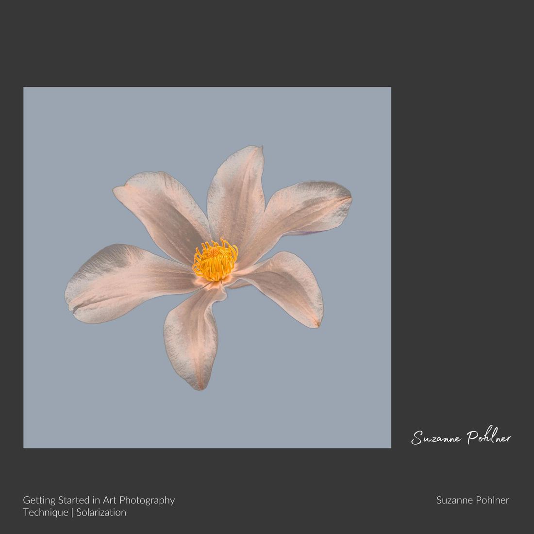 Artwork made by a student of the Art Photography Academy, captioned with the artist, the title and the technique