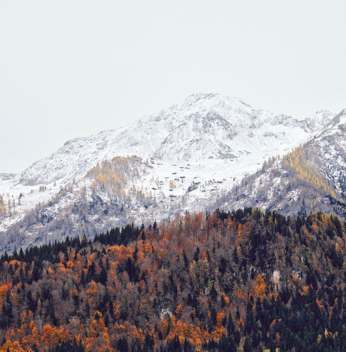 Photograph by Toni Niederwieser before the art photography techniques were applied