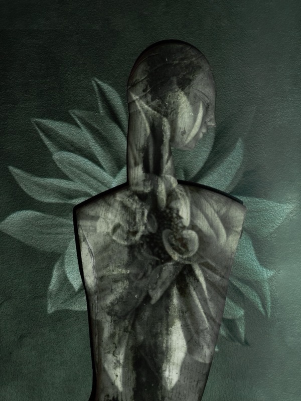 Art photography by Leslie Hoyt, a figure against lotus petals made with the 3D image projection technique