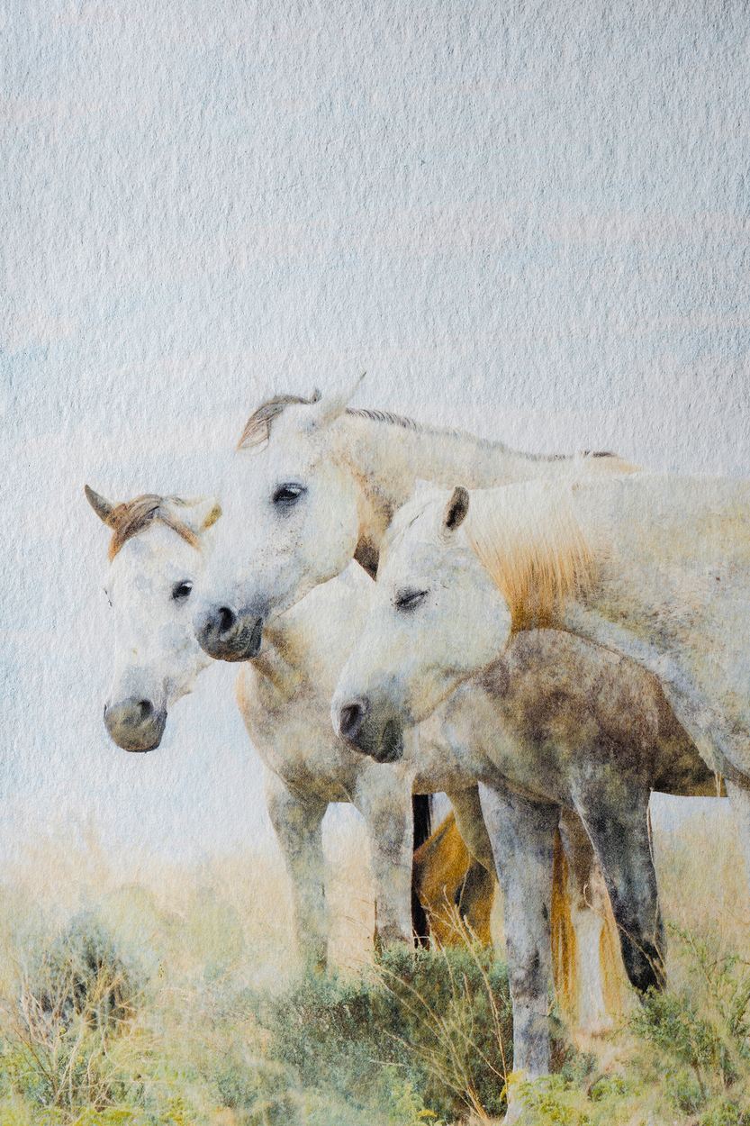 At Rest, a work by Engela Gobregts