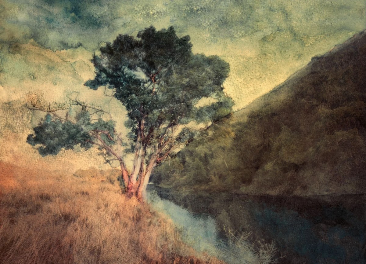 Lone tree beside a river in a wide valley