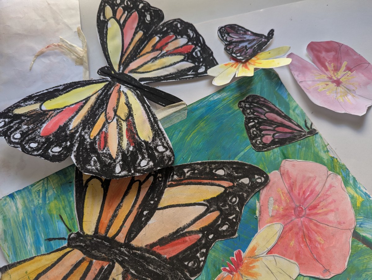 Colourful butterfly paintings by students