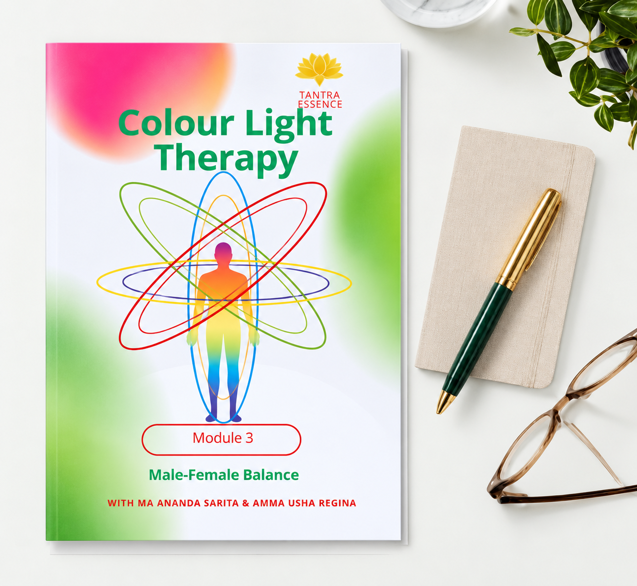 Colour Light Therapy Level 3 manual