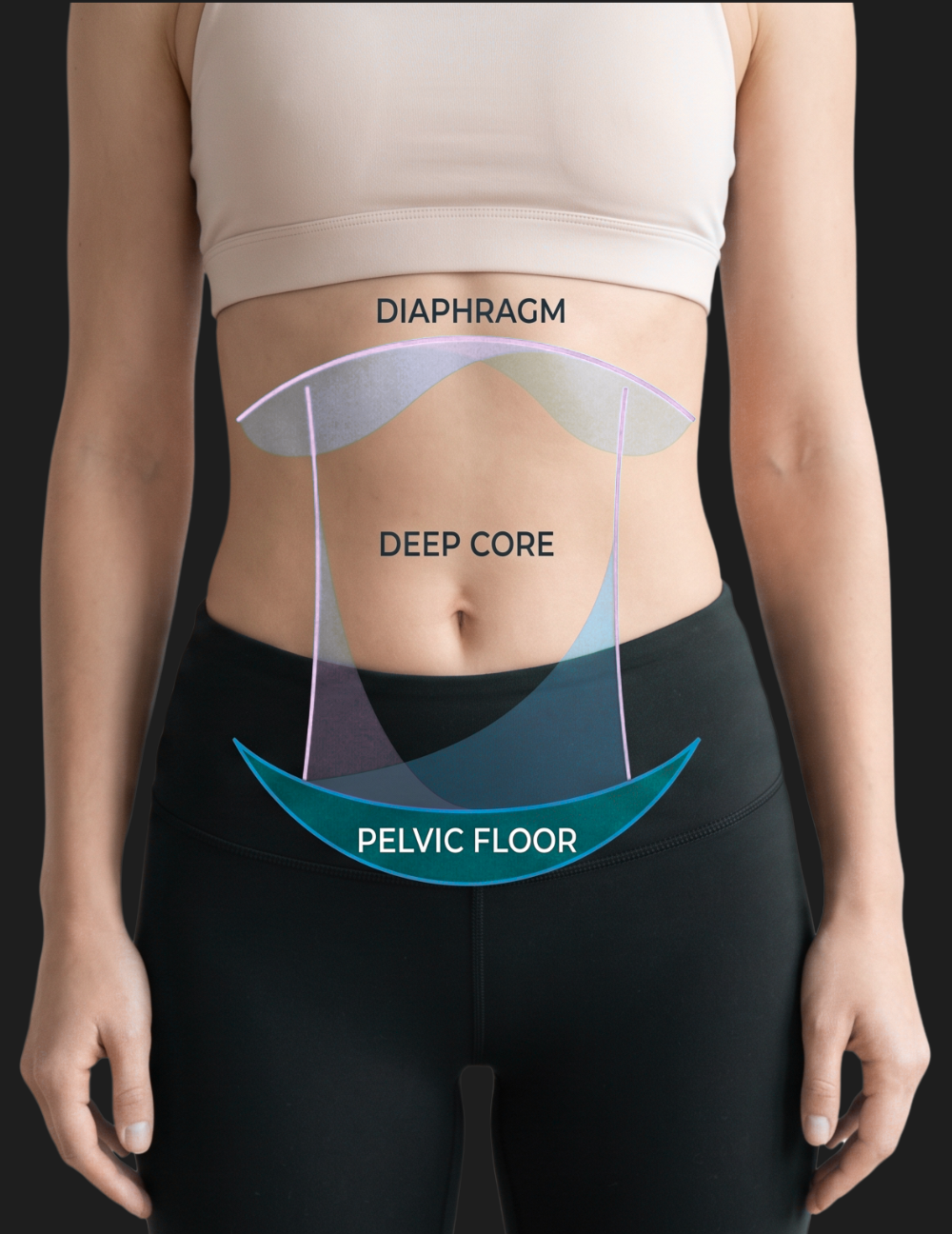 Diaphragm, deep core, and pelvic floor labeled on the torso as one connected system