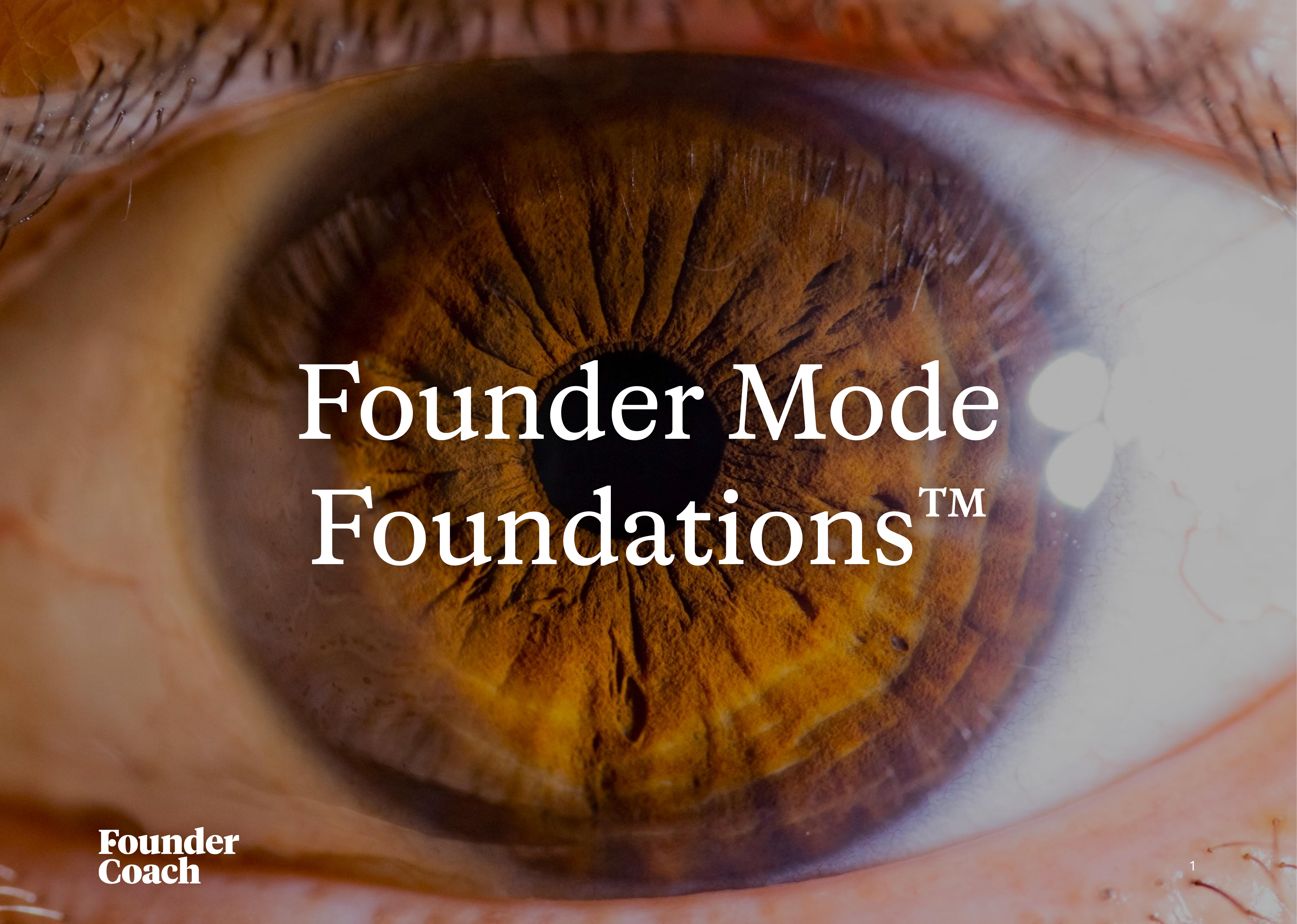 Founder Mode Foundations™ cover