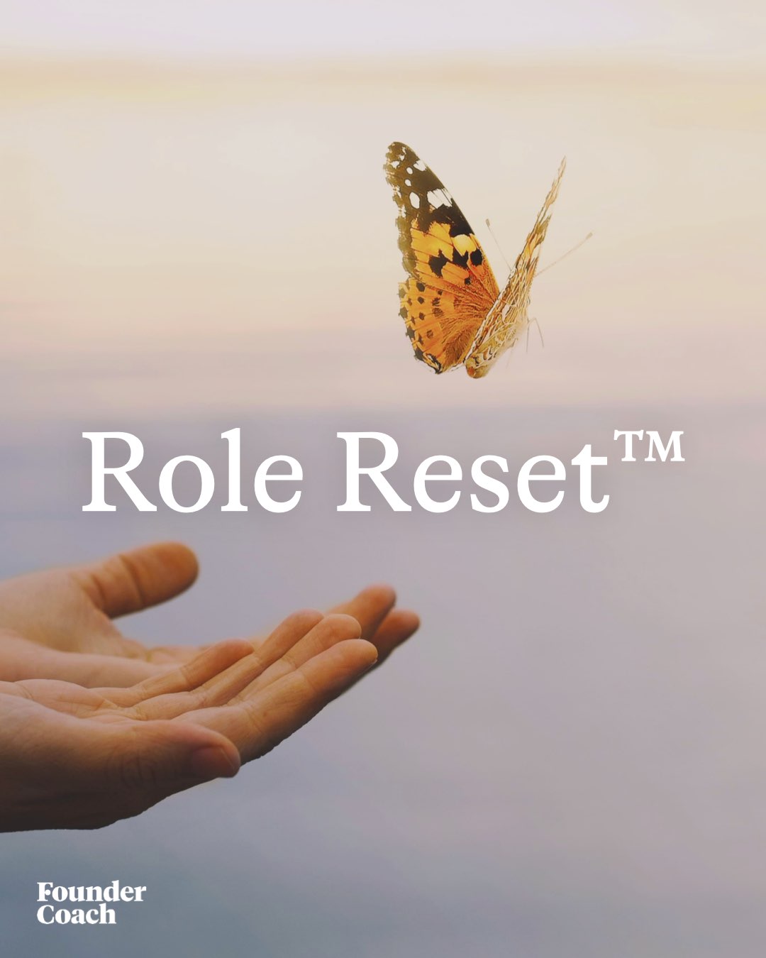 The Role Reset™ poster