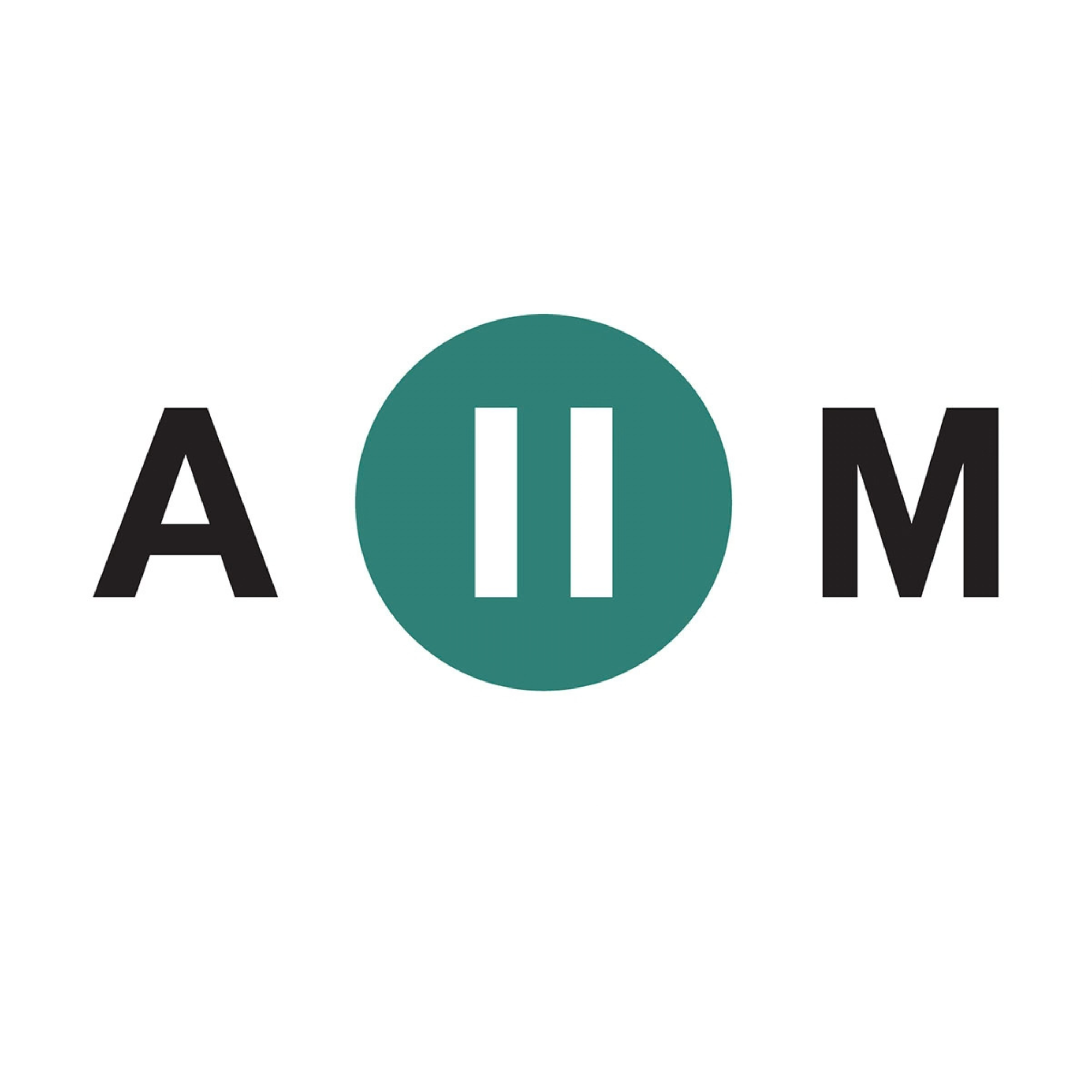 African Infrastructure Investment Managers