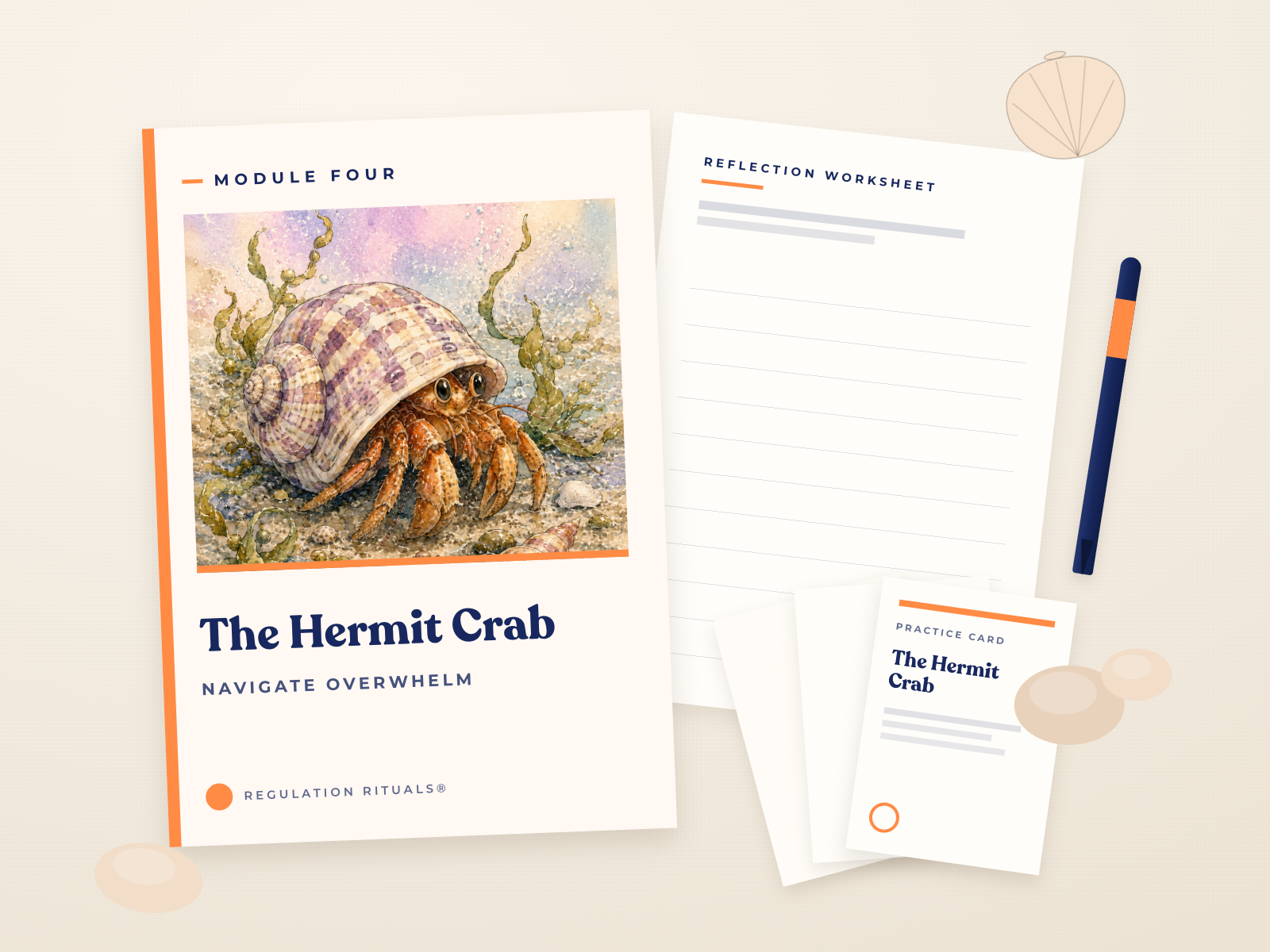 Module Four, The Hermit Crab, workbook and resources