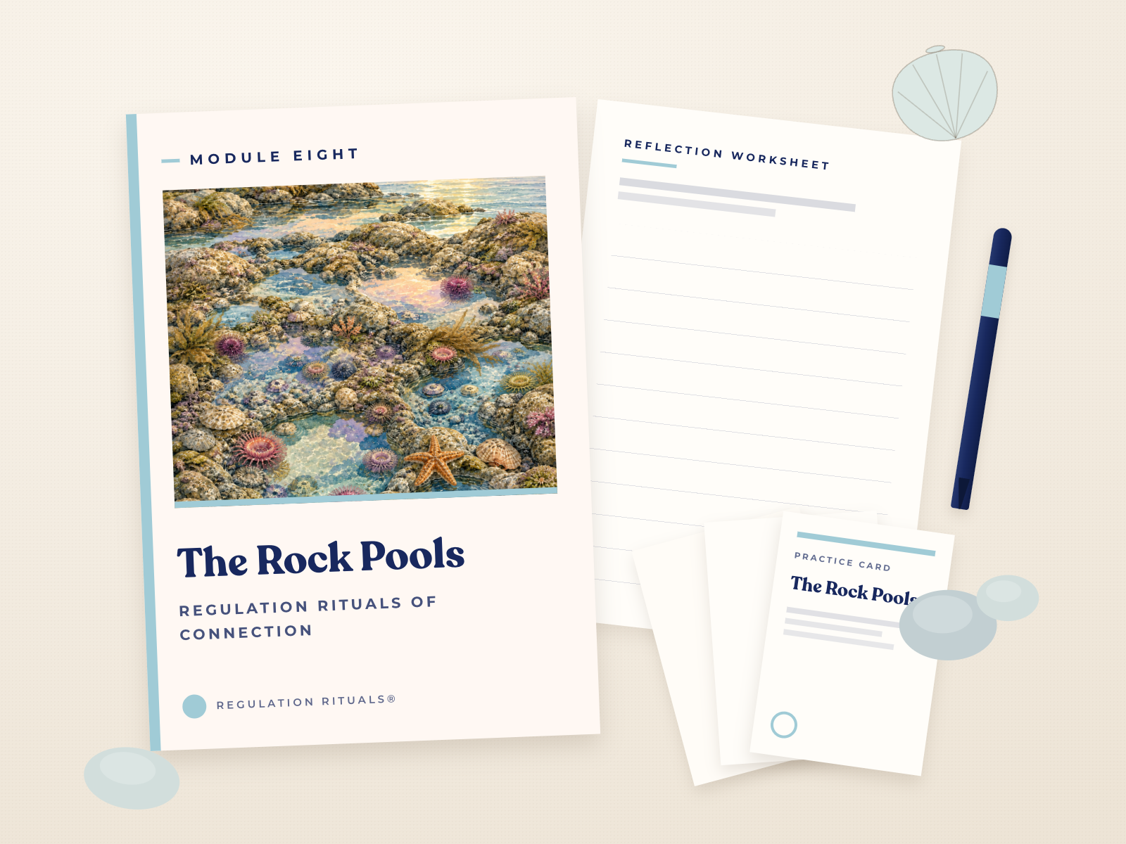 Module Eight, The Rock Pools, workbook and resources