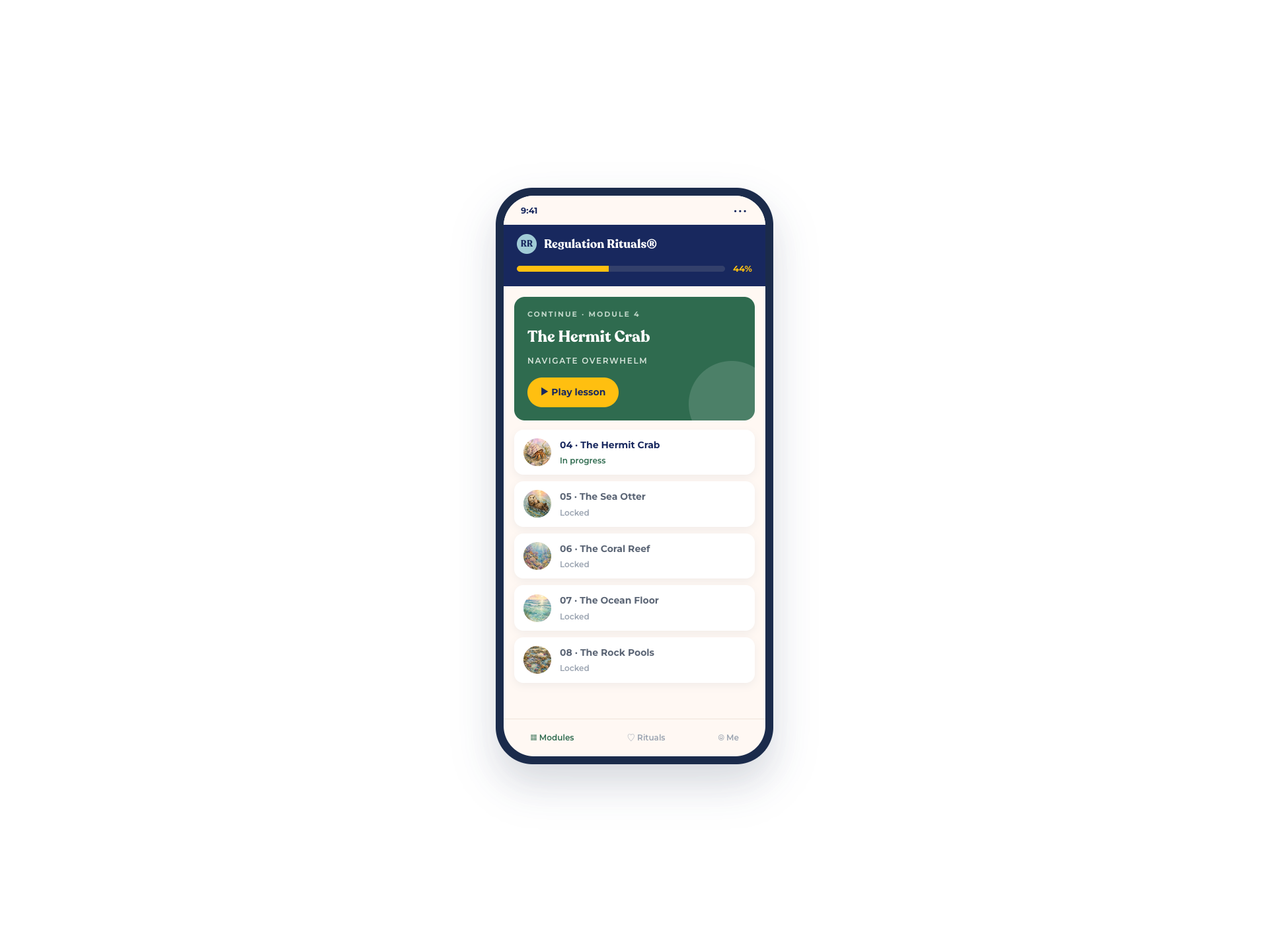 Regulation Rituals portal on a phone