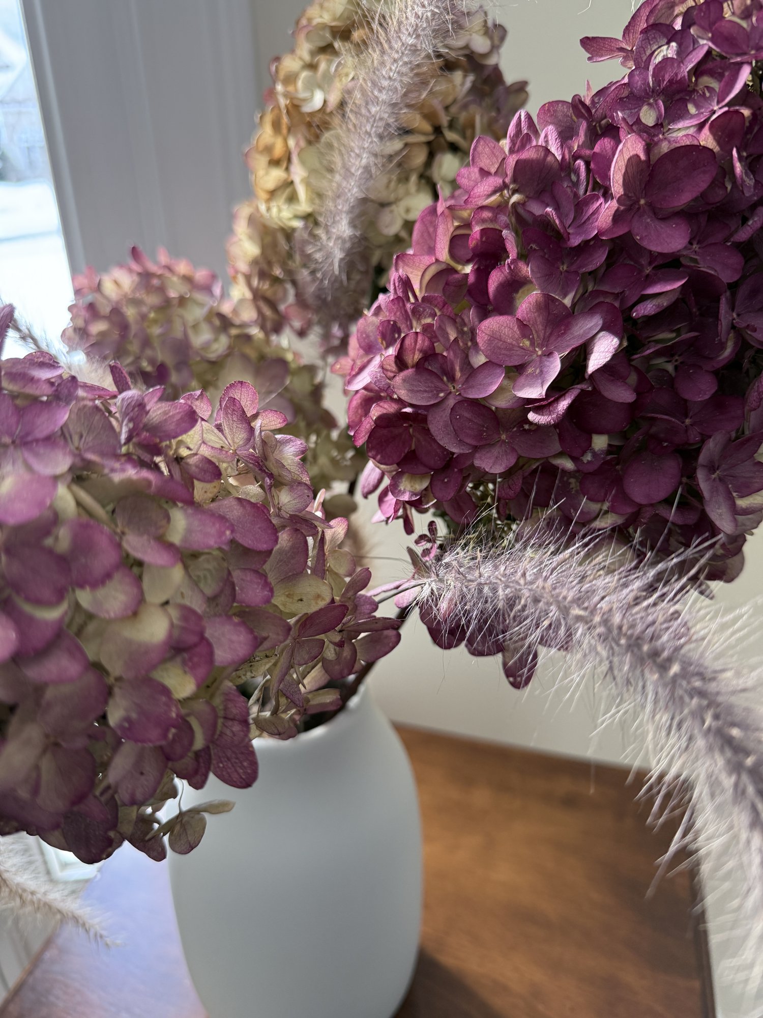 Dried plum hydrangeas in a white vase