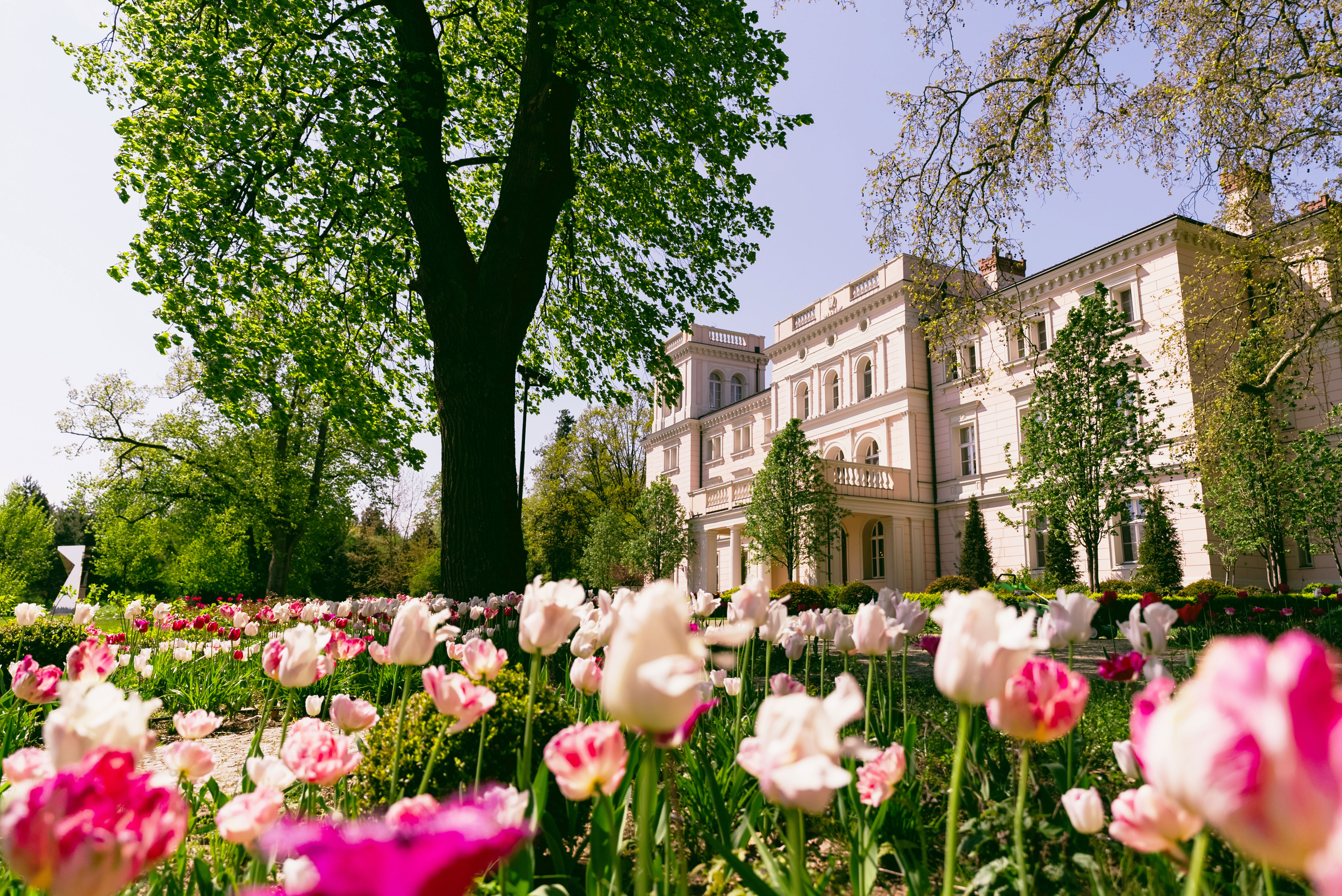 Garden and side wing of the estate