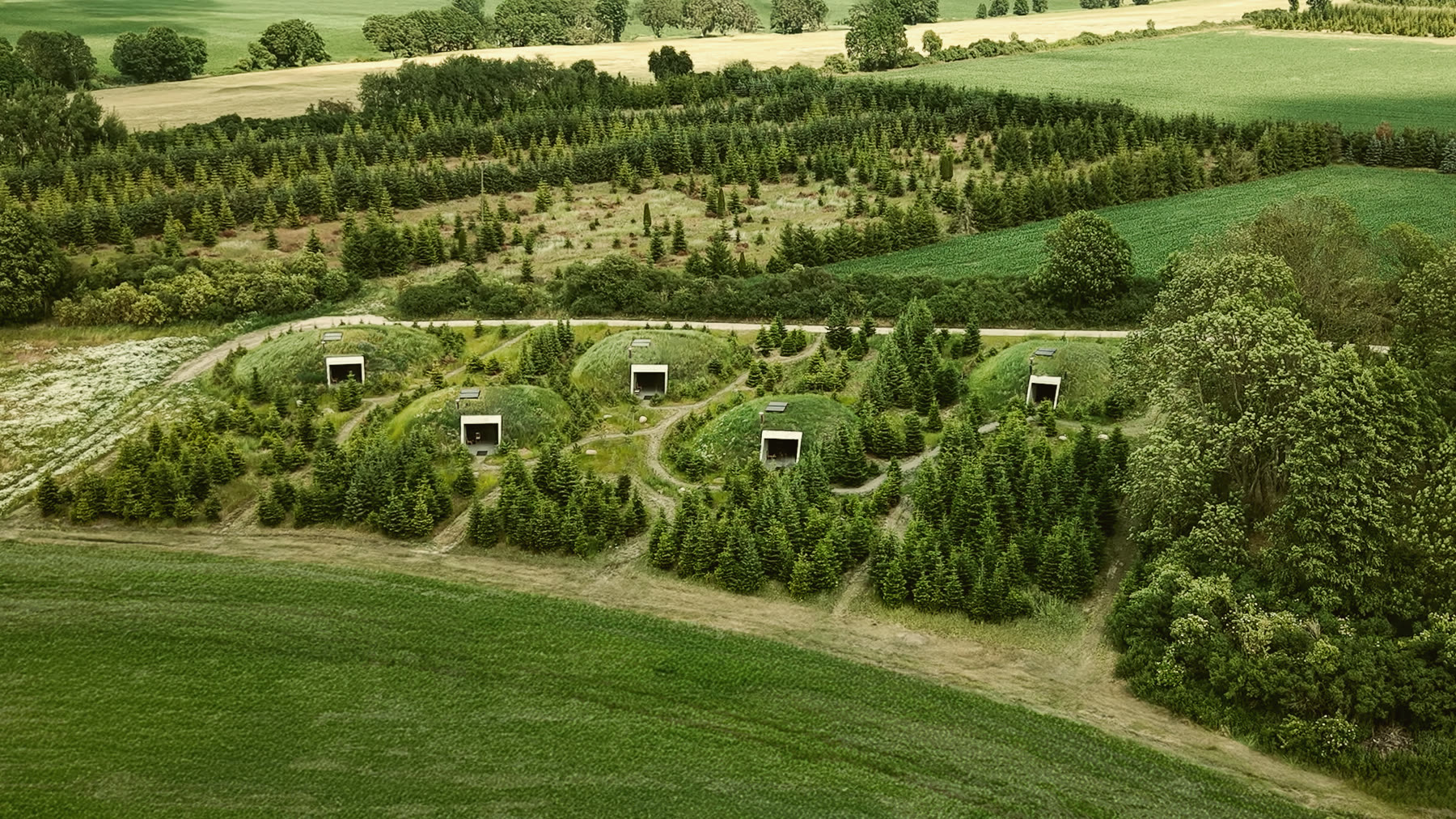 Aerial view of cabins tucked into the trees