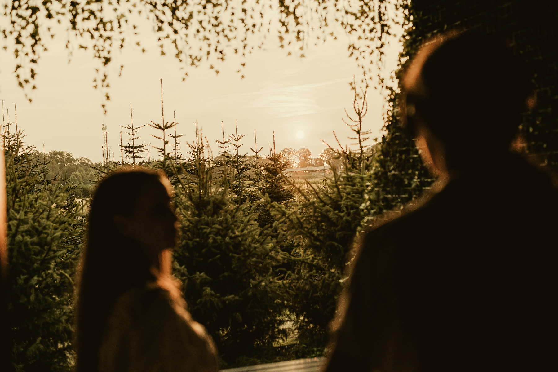 Two silhouettes watching the sunset over the forest