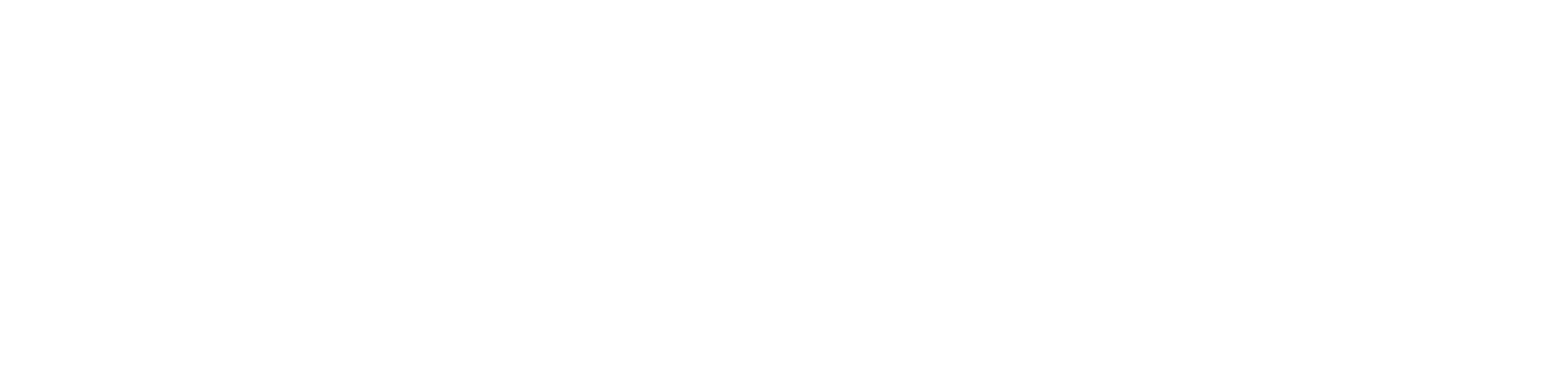 The Customer Success Pro