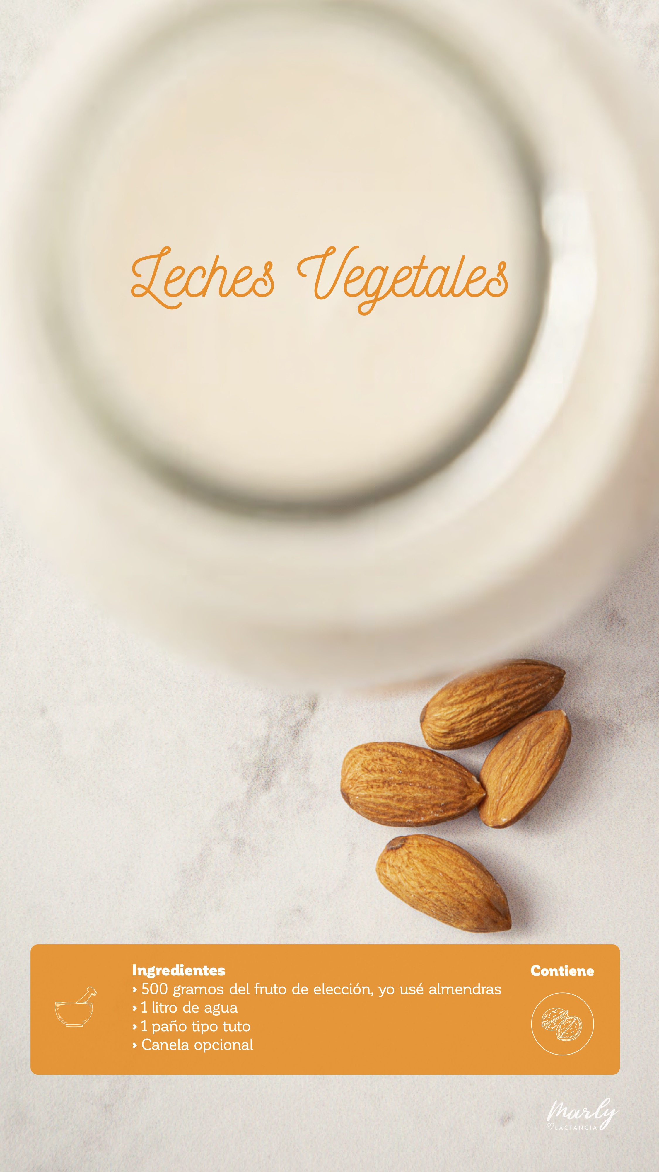 Receta de leches vegetales