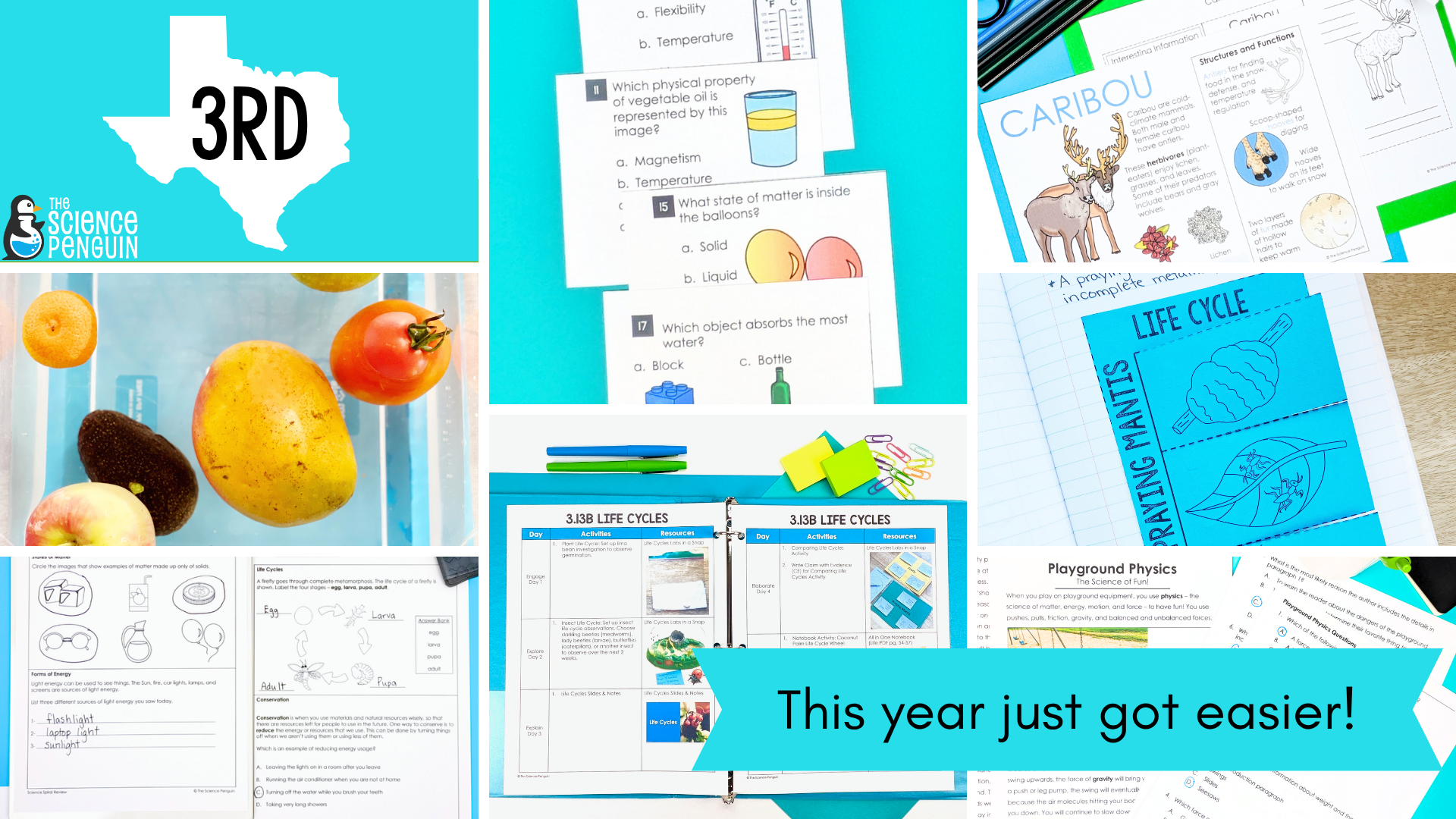 3rd Grade Science TEKS Bundle overview