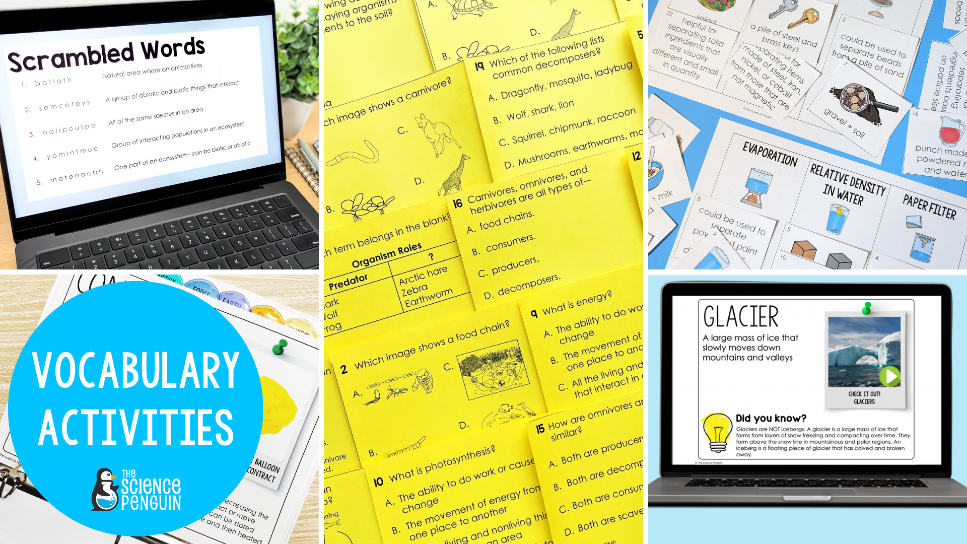 vocabulary activities