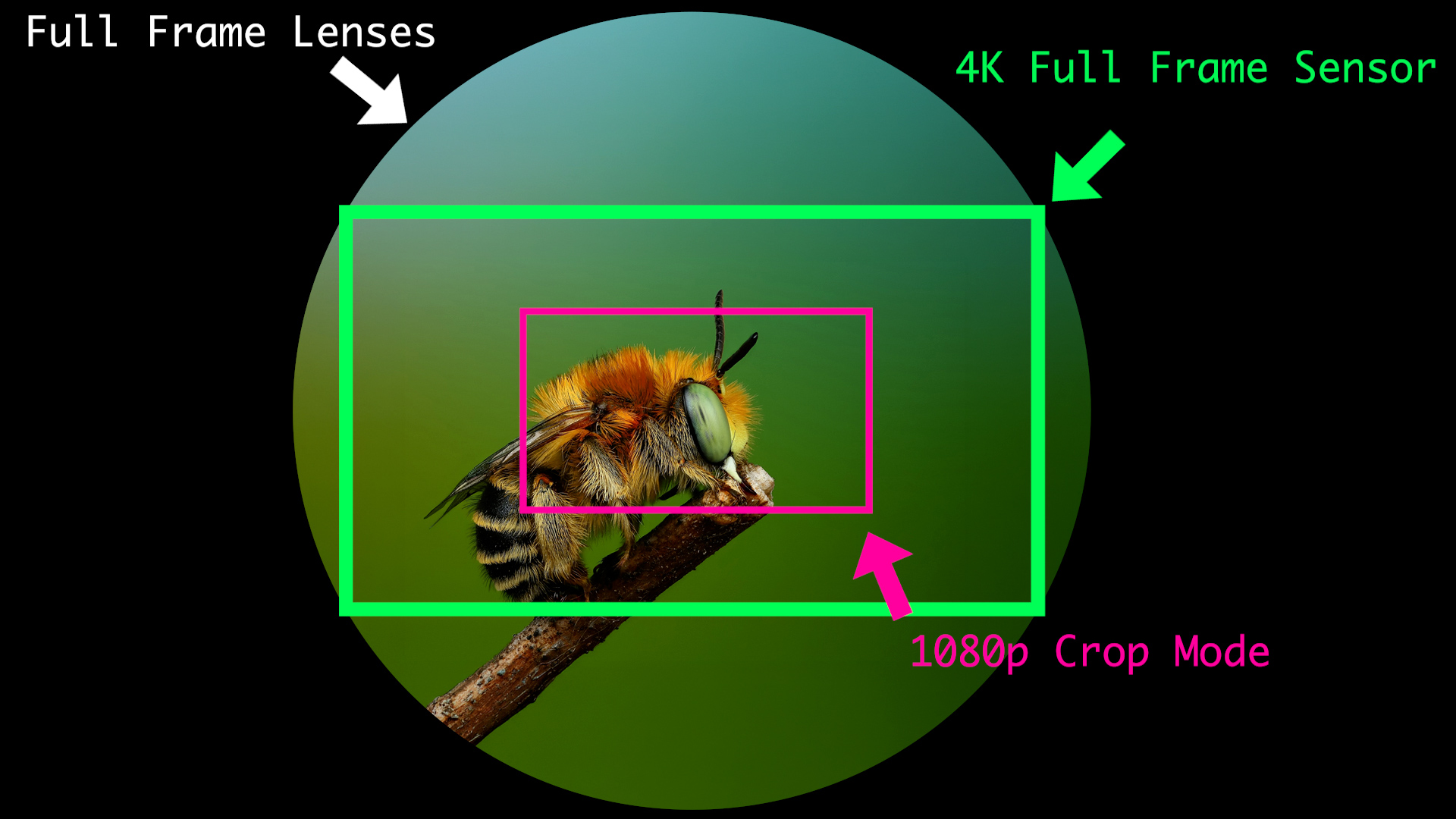 Diagram comparing a full-frame sensor area with the smaller 1080p Super 35 crop-mode area