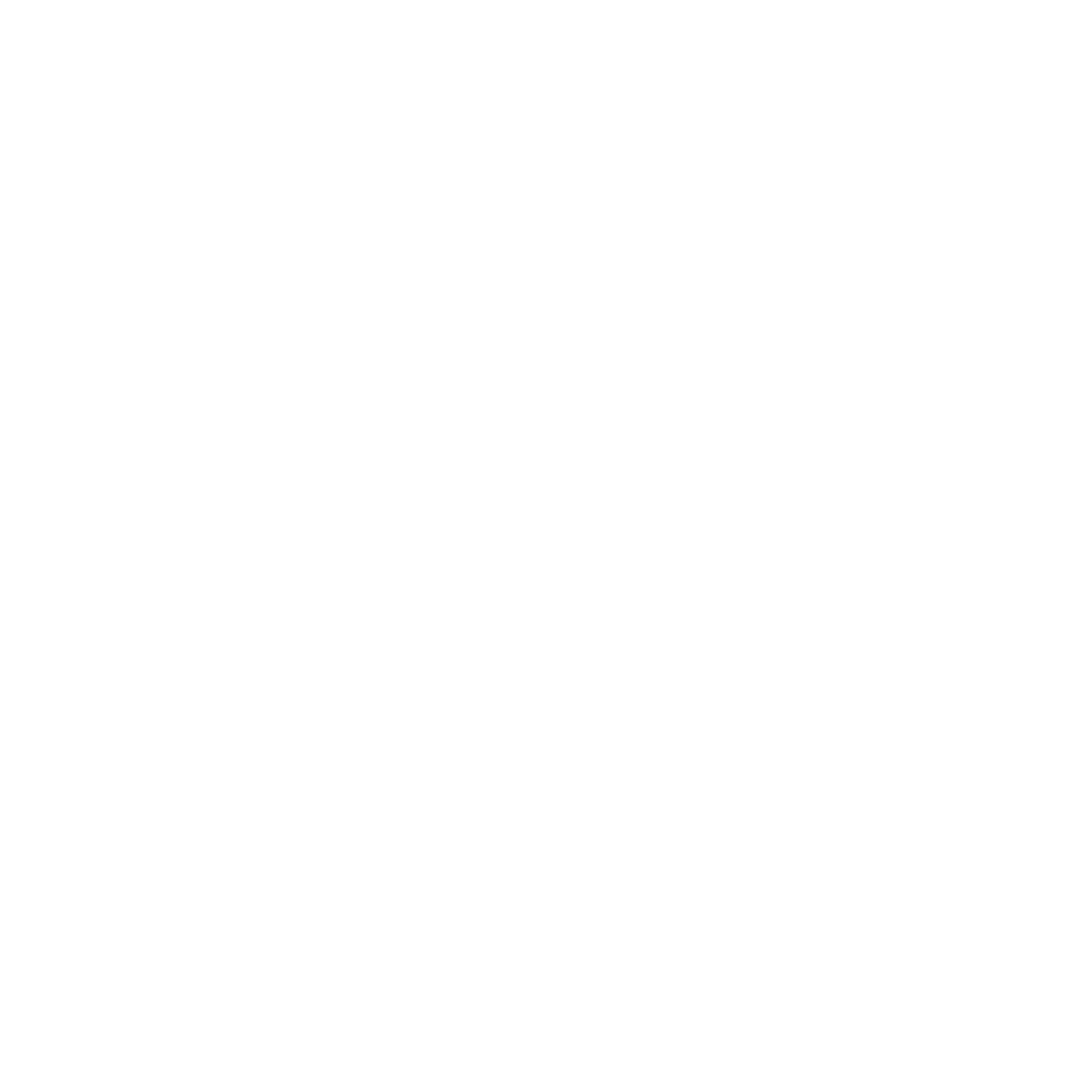 Discount Icon