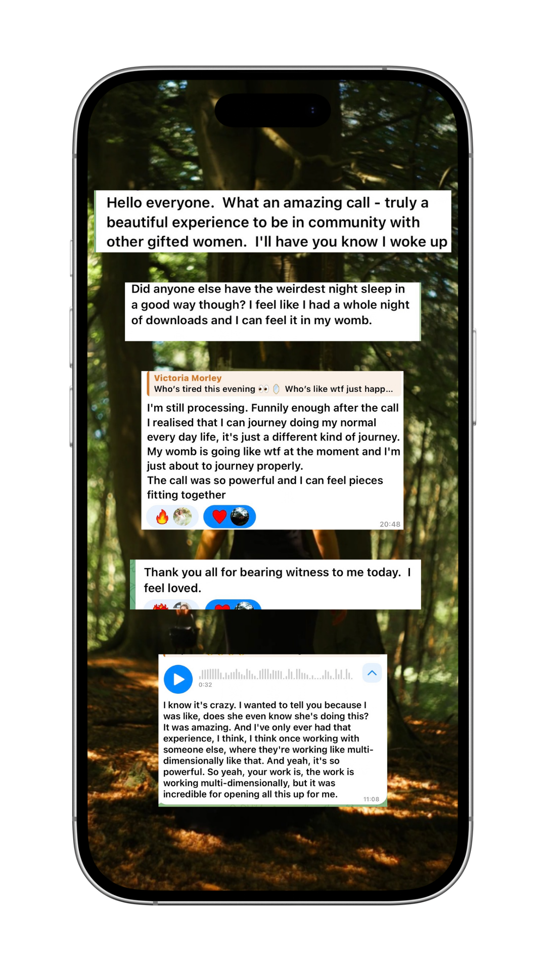 Screenshot from inside The Realm community