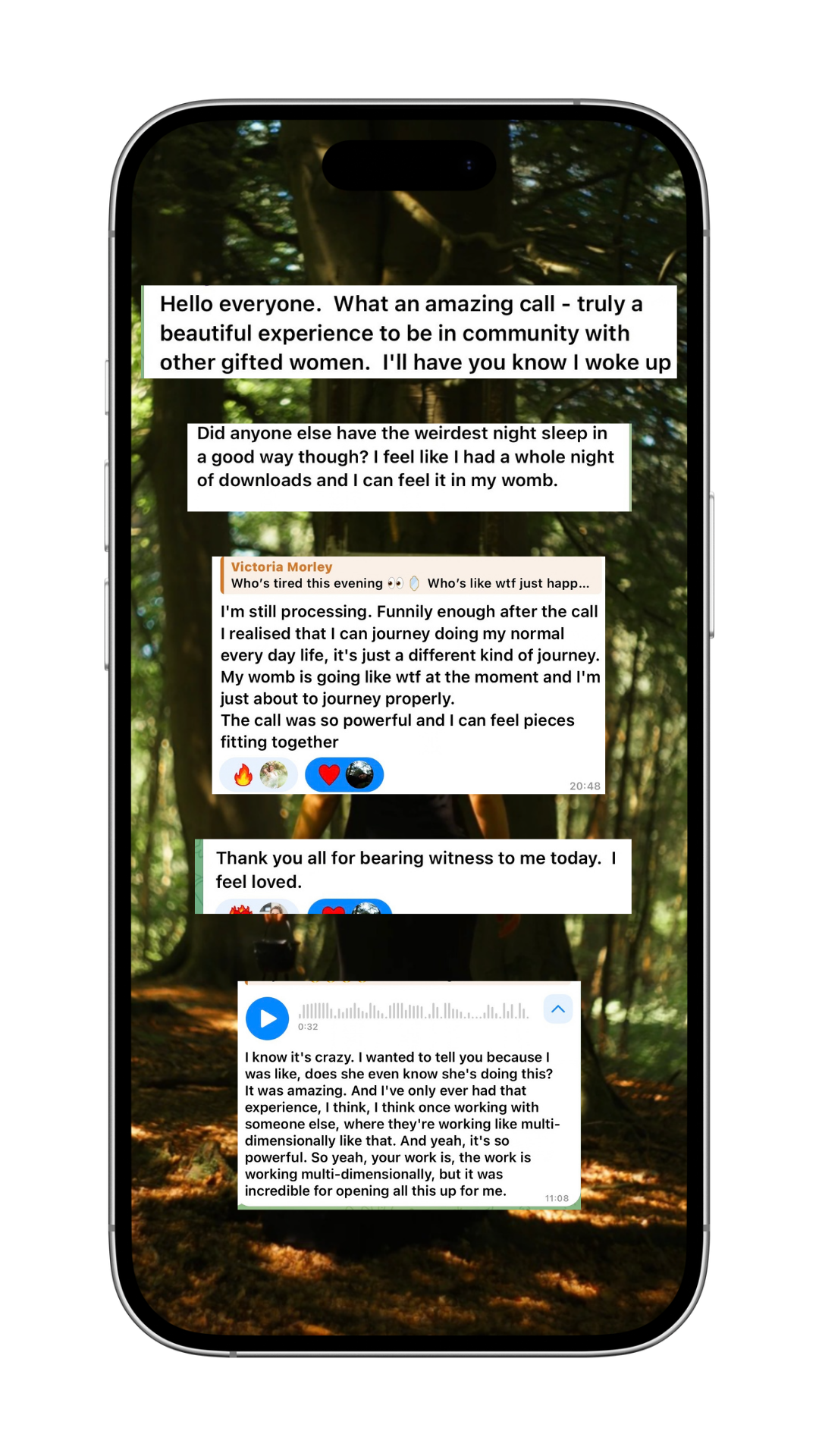 Screenshot from inside The Realm community