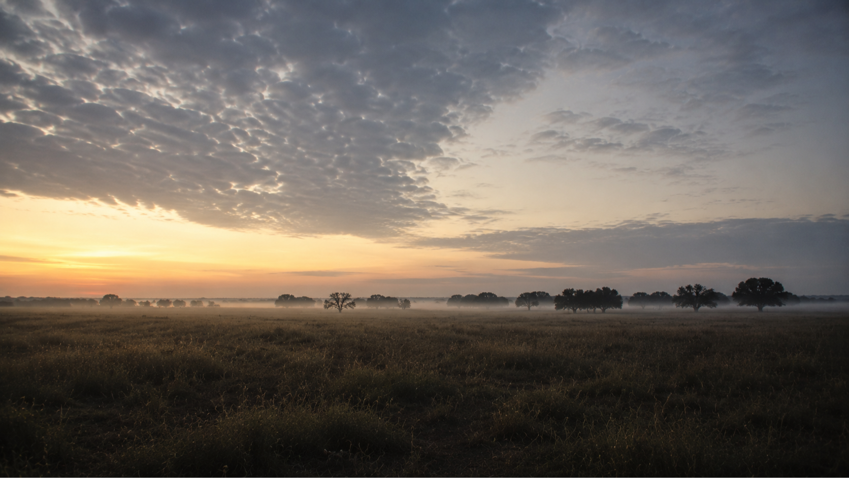The ranch land