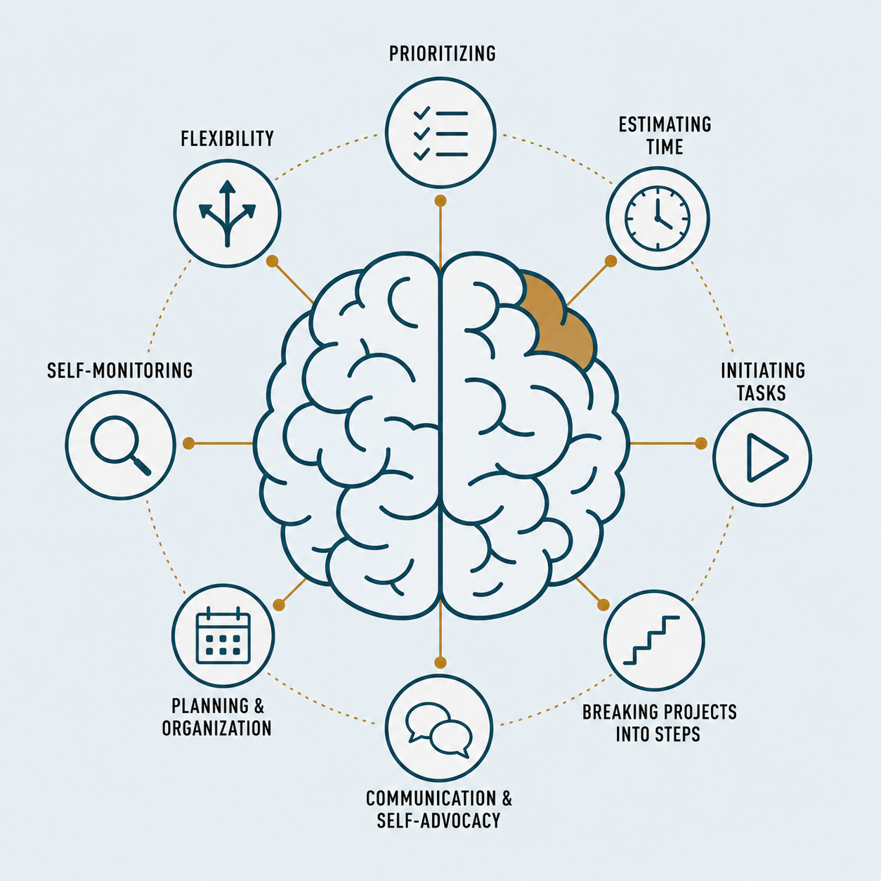 The eight executive-function skills labeled around a brain