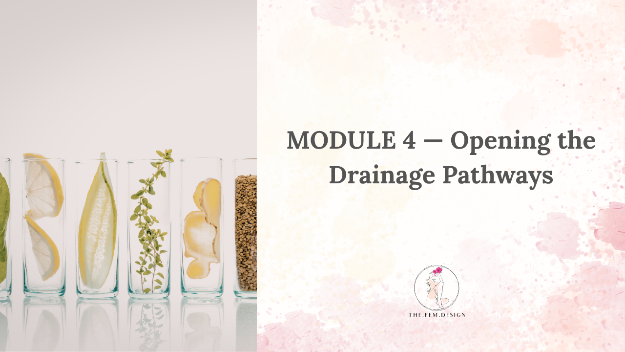 Module 4: Opening the Drainage Pathways