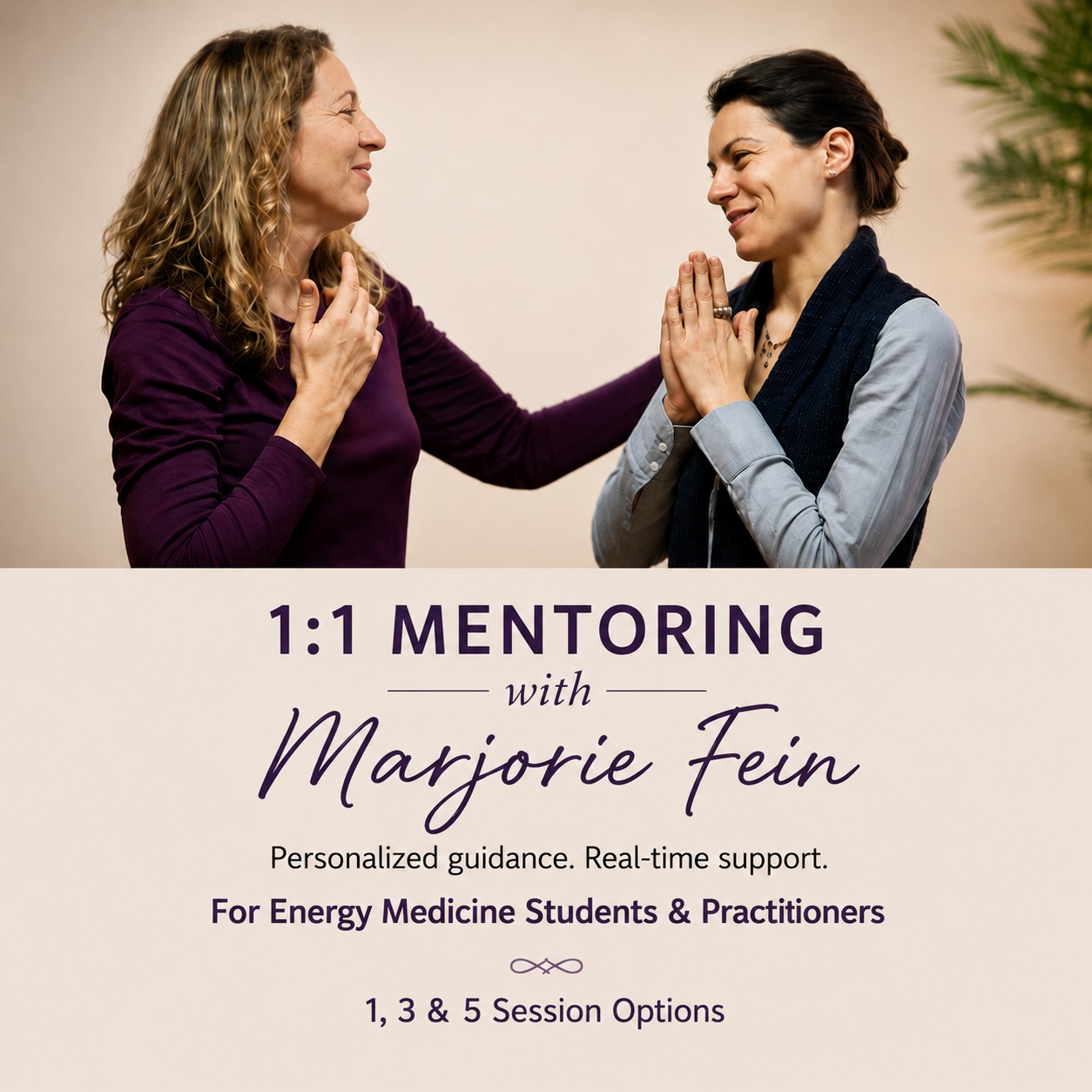 1:1 Mentoring with Marjorie Fein
