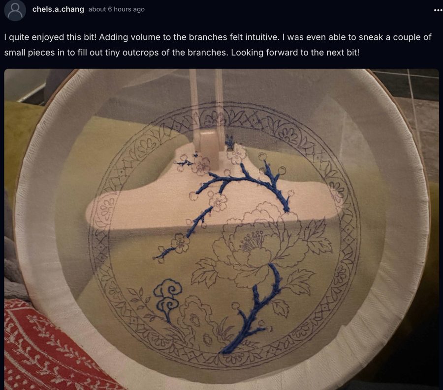 A post from inside the challenge community
