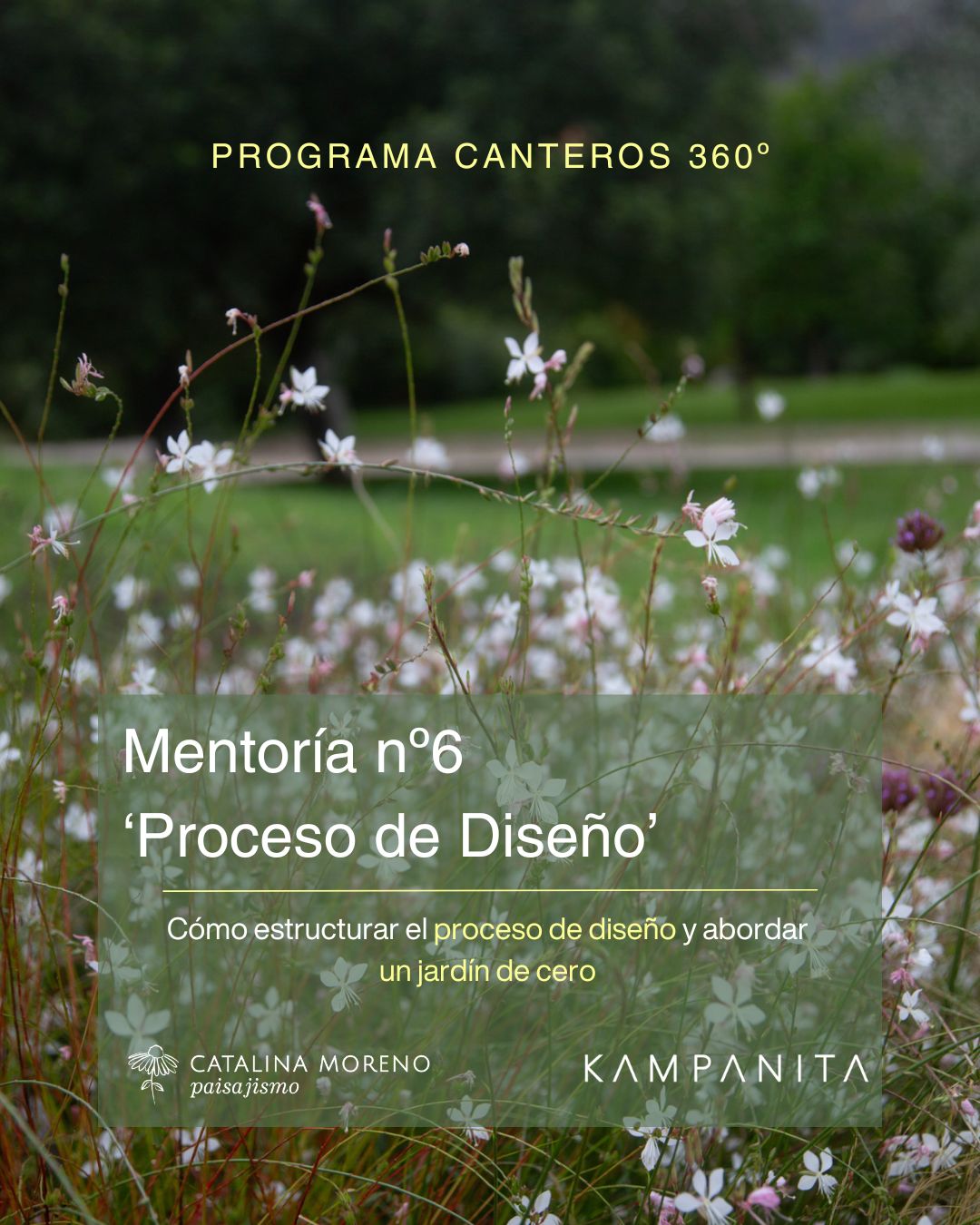 Proceso de diseño