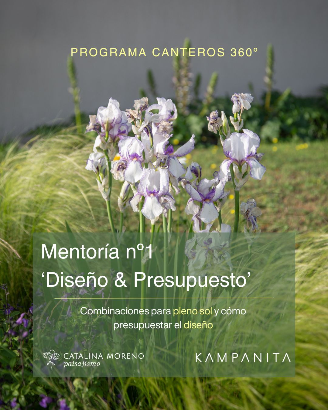 Diseño y presupuesto
