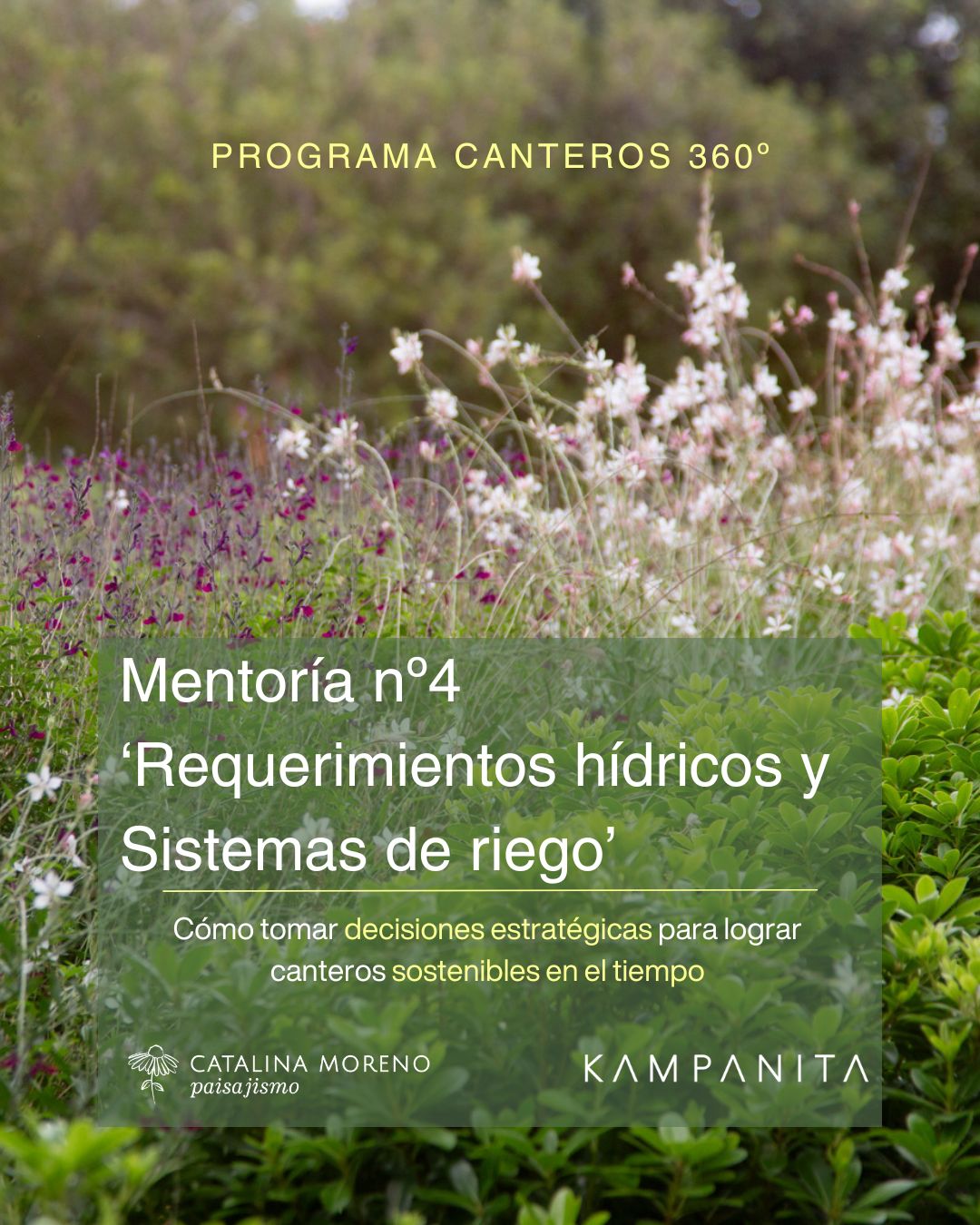 Requerimientos hídricos y sistemas de riego