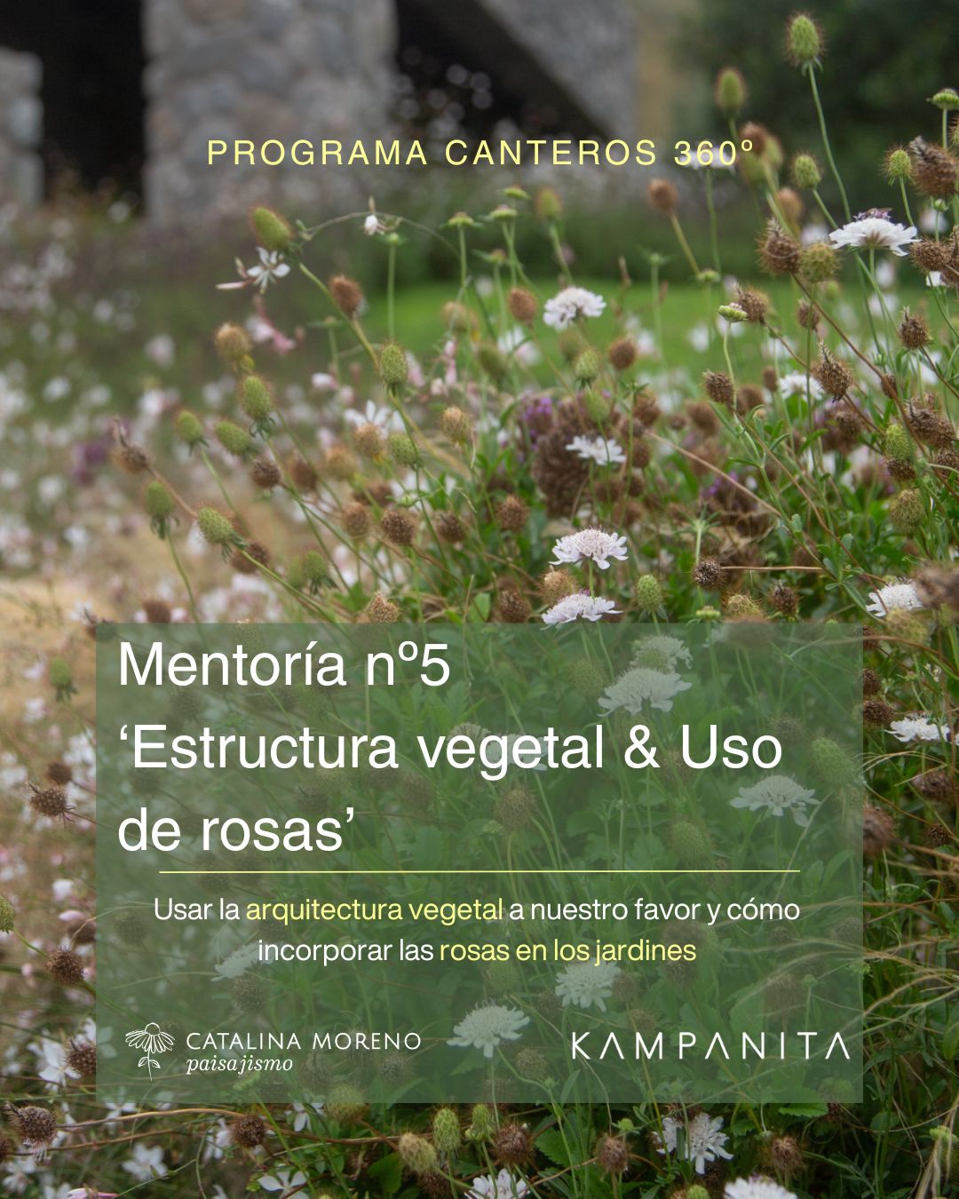 Estructura vegetal y uso de rosas