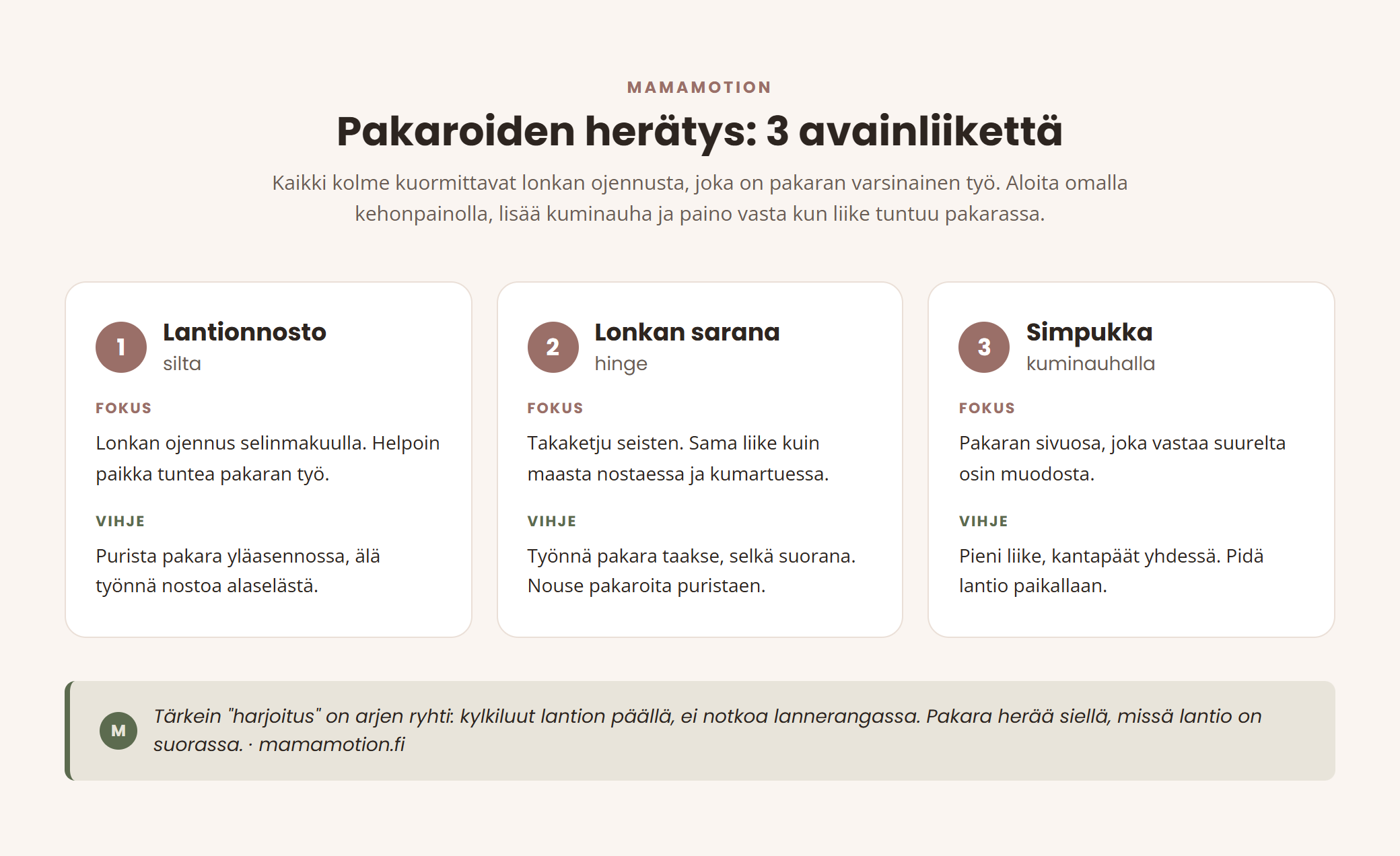 Kolmen avainliikkeen infografiikka pakaroiden her&auml;tykseen: lantionnosto eli silta, lonkan sarana ja simpukka kuminauhalla. Jokaisesta kerrotaan fokus ja tekniikkavihje.