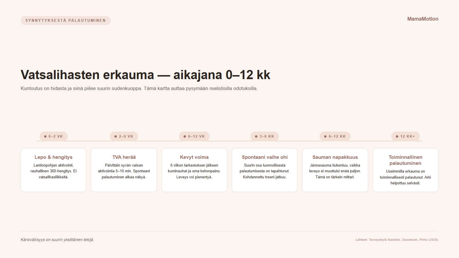 Aikajana vatsalihasten erkauman kuntoutuksesta 0–12 kuukautta synnytyksen jälkeen: lepo ja hengitys (0–2 vk), TVA-aktivointi (2–6 vk), kevyt voima (6–12 vk), spontaani vaihe ohi (3–6 kk), sauman napakkuus (6–12 kk), toiminnallinen palautuminen (12 kk+)