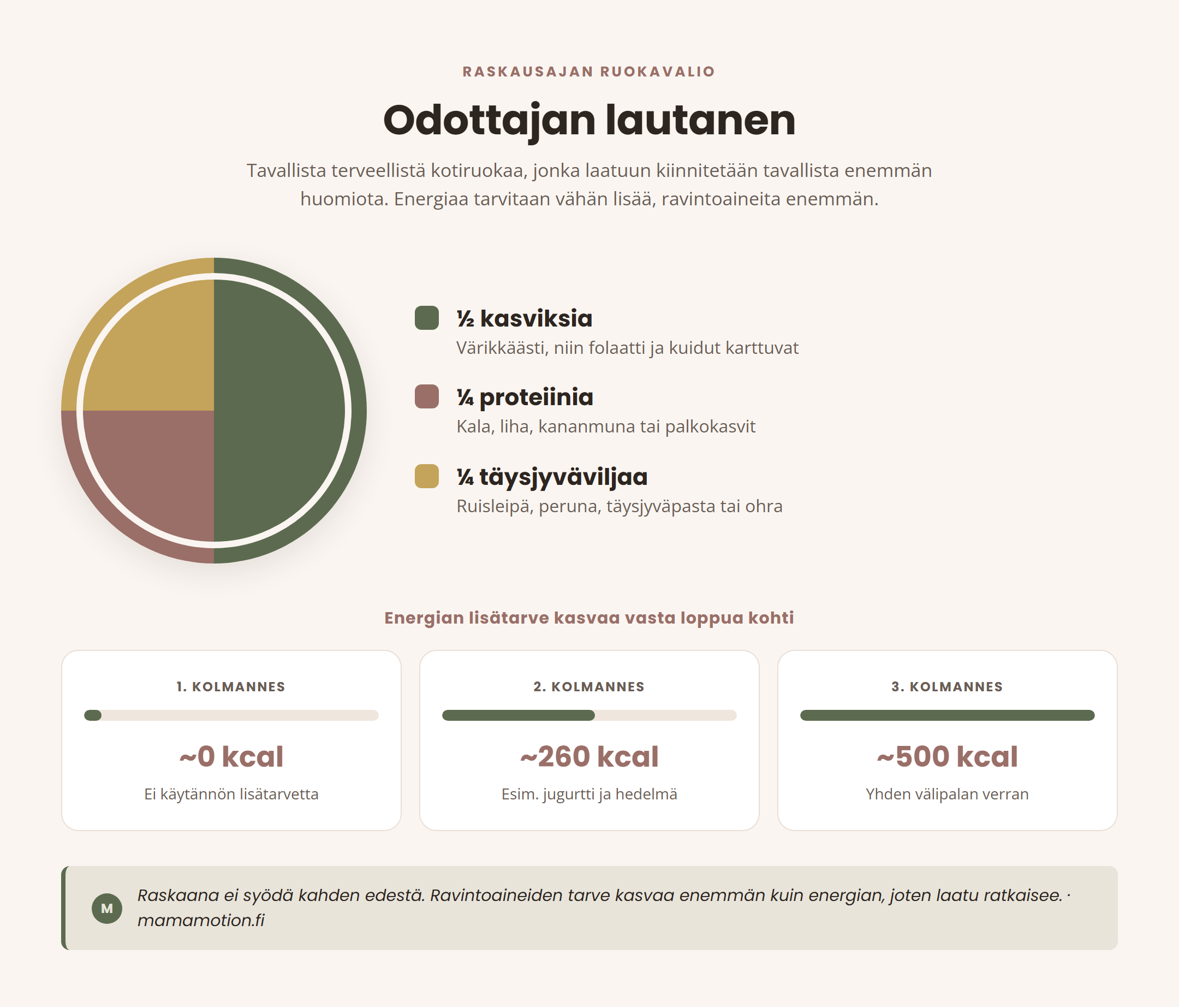 Infografiikka raskausajan lautasmallista ja energian lisätarpeesta kolmanneksittain: puolet lautasesta kasviksia, neljännes proteiinia, neljännes täysjyväviljaa, sekä energian lisätarve noin 0 kcal alkuraskaudessa, 260 kcal keskiraskaudessa ja 500 kcal loppuraskaudessa