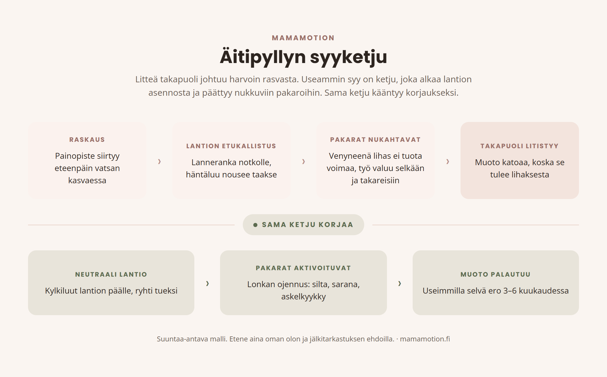Kaavio &auml;itipyllyn syyketjusta: raskaus johtaa lantion etukallistukseen, joka venytt&auml;&auml; ja nukuttaa pakarat, jolloin takapuoli litistyy. Korjausketju: neutraali lantio aktivoi pakarat ja muoto palautuu.